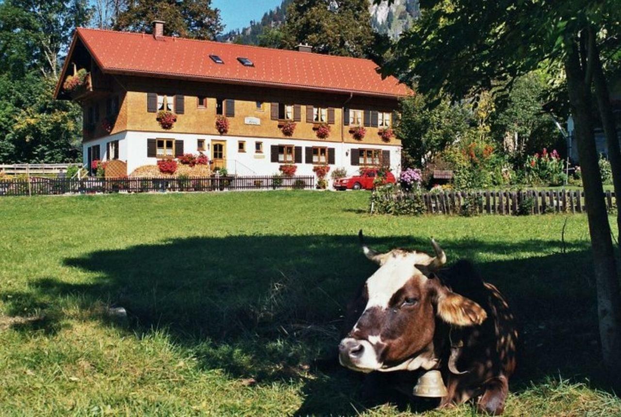 Gaestehaus Hedwig Bad Hindelang Εξωτερικό φωτογραφία